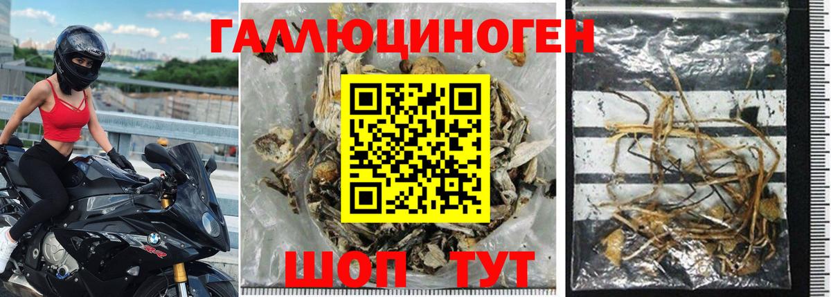 Псилоцибиновые грибы прущие грибы Железноводск